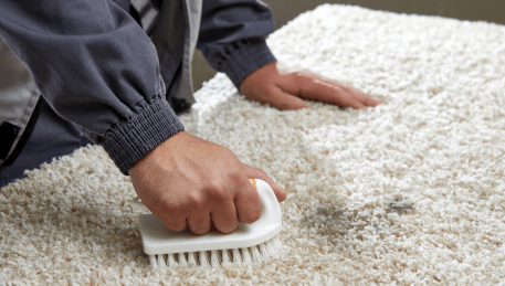 Professional Rug Cleaning Patterson Lakes